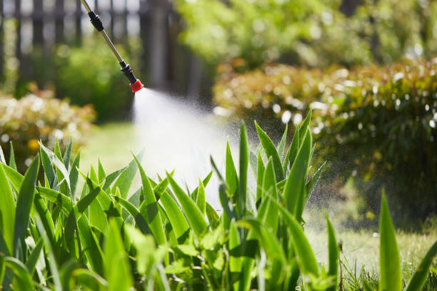 24/7 Emergency Mosquito Control experts in Laguna Beach, CA