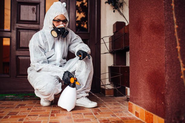Reliable Mosquito Control contractor in Laguna Beach, CA by Show Me Pest Control